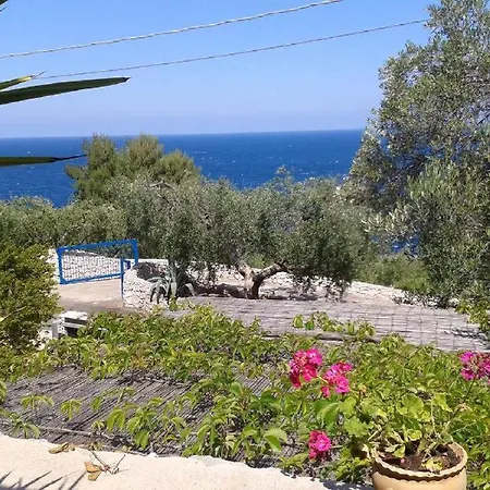 Mirto Mare *